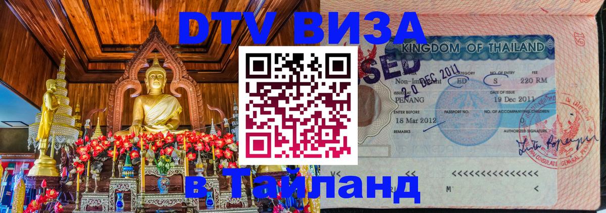 Оформление DTV визы под ключ: стоимость и тарифы, только загранпаспорт - Энгельс 